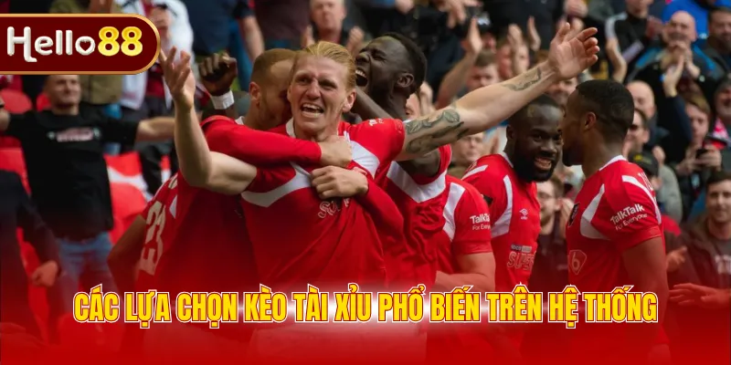 Các lựa chọn kèo tài xỉu phổ biến trên hệ thống