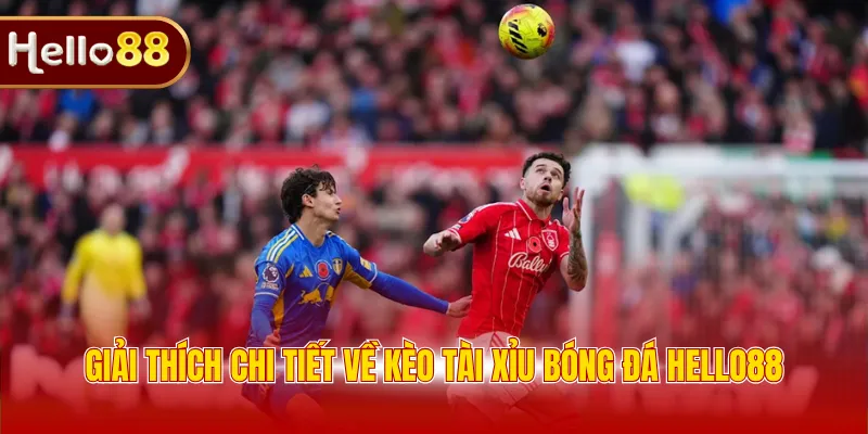 Giải thích chi tiết về kèo tài xỉu bóng đá Hello88