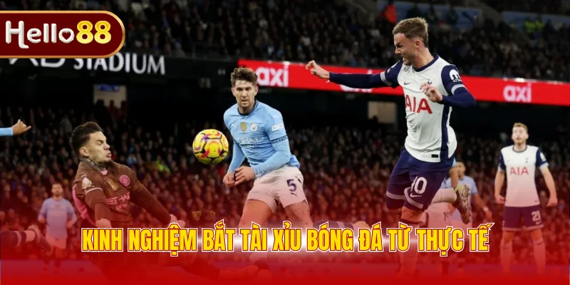 Kinh nghiệm bắt tài xỉu bóng đá từ thực tế